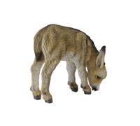 CollectA Réplique d'animal réaliste, figurine de poulain âne, petits âges, à par
