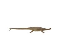 CollectA Réplique d'animal réaliste Thalassomedon Deluxe, à partir de 3 ans