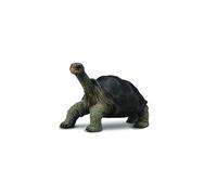 Collecta - Tortue géante Pinta -M- 88619 (90188619) COLECTA