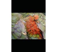 Collected Poems Volume Seven 2022-2025