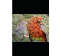 Collected Poems Volume Two 2002-2005