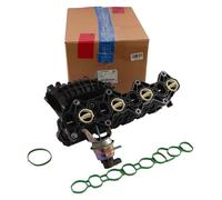 Collecteur d'admission collecteur d'admission pour système d'injection de carburant tuyau d'admission module de tuyau d'admission avec joint pour OPEL Antara CHEVROLET Captiva 2.2 CDTi Diesel 25193560