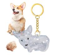Collecteur de poils de chien - Porte-clés - Charm transparent - Porte-ornement émotionnel - Porte-clés commémoratif pour femmes et hommes - Accessoire sentimental pour portefeuille