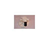 Collecteur d'eau lv 111915129