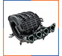 ESEN SKV Collecteur d'admission 49SKV086 pour VW, SKODA, SEAT