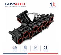 Collecteurs d'admission pour VW | 2100123, 89745, 03L129711P, 49SKV077