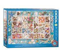 Collection Coquillages