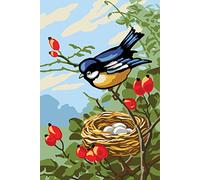 Collection d'Art Imprimé Tapisserie Toile Oiseau avec nid