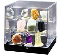 Collection de 9 pierres gemmes avec coffret d'exposition pour minéraux, spécimens bruts naturels de 1,5 à 2 cm, carte d'identification, présentoir de bureau, cadeau de géologie et apprentissage