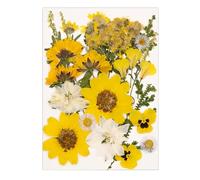 Collection de fleurs séchées, couleurs vives, plantes séchées pour marque-pages, bijoux en résine et décorations saisonnières pour la maison, objets d'art de plantes préservées