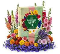 Collection de graines de fleurs inspirées de la RHS-15 variétés de fleurs de jardin,polyvalentes et respectueuses des abeilles