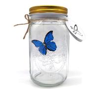 Collection de papillons dans un verre, verre papillon, mouvement , lumière LED, verre romantique, papillon animé, bleu,