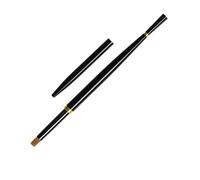 Collection de pinceaux à ongles pratiques avec embouts en nylon pratiques pour un estampage détaillé des applications d ' art des ongles dégradés pinceau d ' art en de poisson