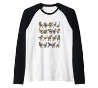 Collection d'espèces préhistoriques de paléontologie des Dinosaures Manche Raglan