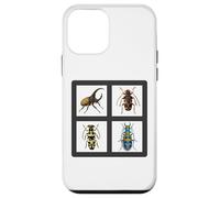 Collection d'illustrations de coléoptères Beaux coléoptères Coque pour iPhone 12 Mini