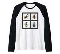 Collection d'illustrations de coléoptères Beaux coléoptères Manche Raglan