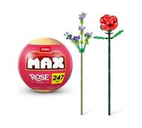 Collection Rose