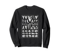 Collection Vintage de Dents et Coquillages Fossiles Sweatshirt