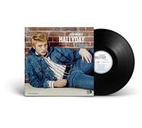 Collection Vinylbook : Johnny Hallyday Vinyle