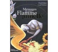 Collector Les Messages de votre flamme jumelle David Sabat (Auteur), Céline Ananian (Illustration)
