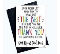 Collègue Leaving Carte Neuve Job Carte Coworker Leaving Good Luck Congrats Neuf Job Goodbye Leaving Job Thank You For Everything You DID PC612