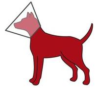 Trixie Collerette de protection plastique - Bande auto-agrippante Velcro - XS/S 20-26 cm (11 cm)