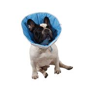 Collerette Post-OP de cicatrisation pour Chien ou Chat (6 (XXXL) - Tour de tête: 50-60cm)