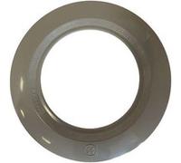 Hayward - Collerette pour projecteur de Piscine - Gris Clair - PRDX240LG