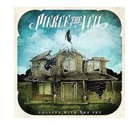Collide With The Sky Vinyle