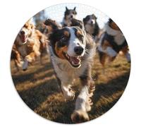 Collie frontière 1000 Pieces Jigsaw Puzzles for Adults Educhational Games Stress Relieving Entertainment Cultivate The Spirit of Teamwork for Adults Gifts 1000pcs (67.5x67.5cm)