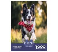 Collie frontière Puzzle 1000 Pièces Educa Jouet en Bois Cadeau Unique DécoRation Intérieure Jeu Éduchatif Challenge Toy Adultes & Enfants des 14 Ans 38x26cm/1000pcs
