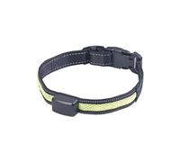 Infactory Collier à LED avec chargement cinétique - Chiens de taille moyenne