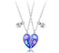 collier amitier,Amitié Pendentif Collier Ensemble Meilleurs Amis Collier BFF Collier Coeur Violet Amitié Collier pour 2 Filles Cadeau D'anniversaire pour Les Meilleurs Amis(dauphin)