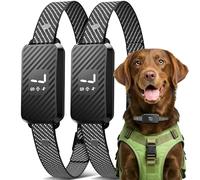Collier anti-aboiement rechargeable pour chiens de petite, moyenne et grande taille