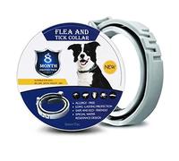 Collier Anti-Insectes pour Animaux de Compagnie pour Chats et Chiens Collier Anti-puces et Anti-Insectes pour Grands Chiens