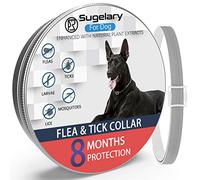 Collier Anti Puces et Anti Tiques pour Chiens, Protection de 8 Mois Collier Anti Puces Réglable étanche pour Chien Collier Anti Puces pour Chiens Amélioré avec des Huiles Essentielles Naturelles (1)