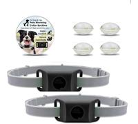 Collier Anti Puces et Tiques pour Chien et Chat, Protection Naturelle, La Taille du Collier Est Ajustable, sans Danger pour Les Chats Et Les Chiens, Convient à Toutes Les Tailles (Noir, 2 Pack)
