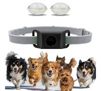 Collier Anti Puces pour Chien, ImperméAble Et LéGer, Doté d'une Sangle RéGlable, Convient à La Marche Et Au Jardinage, pour Les Chiens De Petite, Moyenne Et Grande Taille (Noir,1pcs)