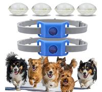 Collier Anti Puces pour Chien, ImperméAble Et LéGer, Doté d'une Sangle RéGlable, Convient à La Marche Et Au Jardinage, pour Les Chiens De Petite, Moyenne Et Grande Taille (Bleu,2pcs)