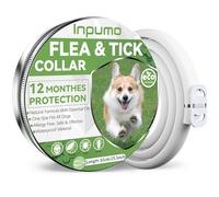 Collier Anti Puces pour Chien, Réglable Collier Antiparasitaire Chien 12 Mois, Naturel Imperméable Élimine Puces, Tiques, Poux, Essentielles 100% Naturelles 1pcs