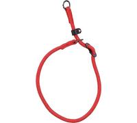 Collier Anti-Traction Aiden Rouge XS 40CM 8MM