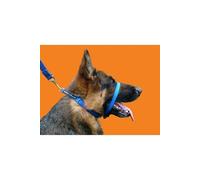 - Collier anti-traction - Chien - UTVP2006
