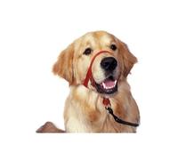 Collier anti-traction HALTI