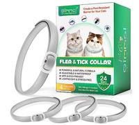 Collier antiparasitaire pour Chats 4 pièces - Collier Anti-puces et Anti-tiques pour Chat, Lot de 4 pièces, imperméable, Naturel, Protection 24 Mois