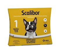 Collier antiparasitaire, protection durable. Pour chiens moyen, repousse tiques/puces sans effort