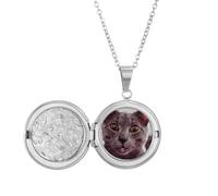 Collier avec médaillon pour photo de chat gris avec gros œil