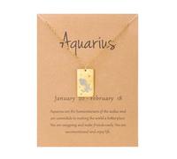 Collier Avec Pendentif Constellation De Cartes De Tarot 12 Signes Du Zodiaque Chaîne D'Horoscope Constellations Collier D'Astrologie Cadeaux D'Anniversaire Pour Femmes Et Hommes Unisexe Verseau