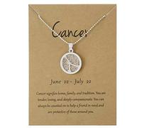 Collier avec Pendentif en Forme de pièce de Monnaie en Argent - Jour - Cancer (22 Juin - 22 Juillet) - Constellation du Zodiaque, Horoscope, Astrologie céleste - Cadeau pour Homme et Femme