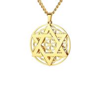 Collier avec pendentif en forme d'étoile de David - Fleur de vie - Judaïsme - Bijou juif