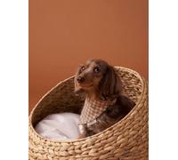 Collier bandana à damier pour chien carreaux marron L/XL